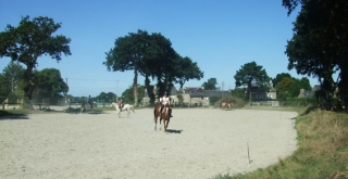  Private horse riding lessons 
